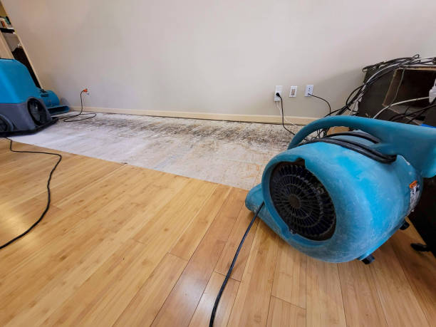 Professional Flood Damage Cleanup technician working in Linthicum Heights, MD